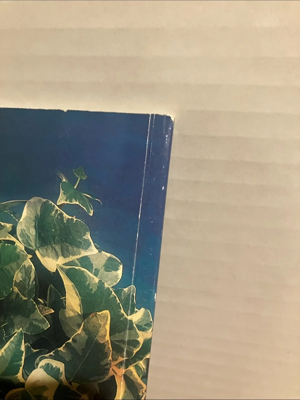 Ball Blue Book Guide to Home Canning, Feeezing, and Dehydration (VTG)